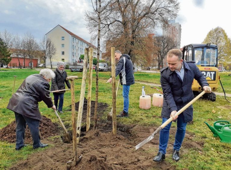 Read more about the article Wir schenken Neubrandenburg einen Baum