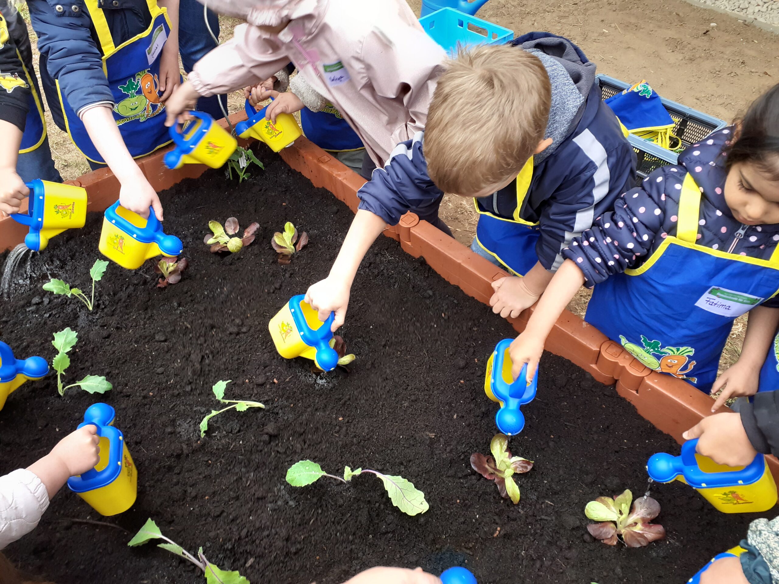 Du betrachtest gerade „Gemeinsam pflanzen“ – Edeka Stiftung besucht unser Montessori Kinderhaus